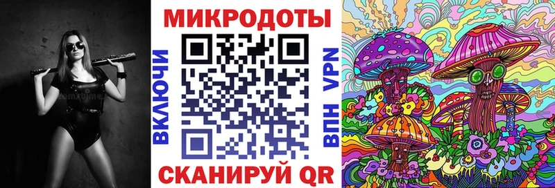 дарк нет как зайти  Ельня  Галлюциногенные грибы Psilocybine cubensis  наркотики 