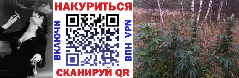 блэк спрут ONION  Ельня  Каннабис VHQ  где можно купить  